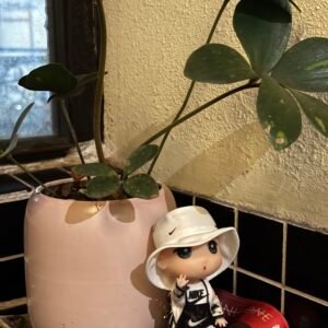 Búp bê GD Trắng